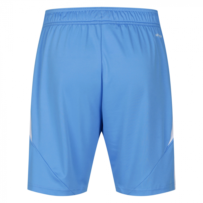 Fulham 25/26 Adult Away GK Shorts