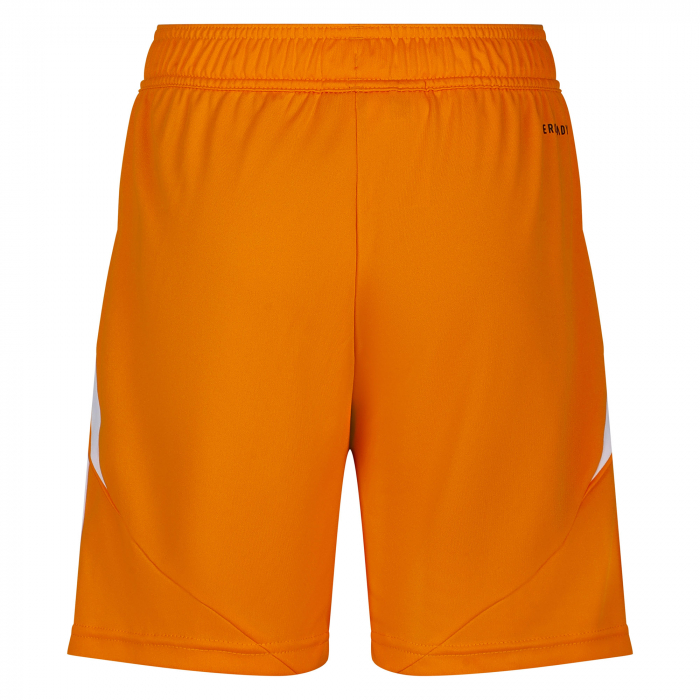 Fulham 25/26 Youth Third GK Shorts