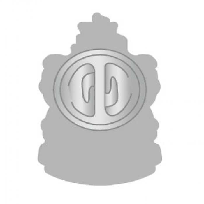 2001 Nostalgia Pin Badge