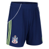 Fulham 25/26 Adult Away Shorts