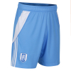 Fulham 25/26 Adult Away GK Shorts