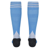 Fulham 25/26 Youth Away GK Socks