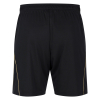 Fulham 25/26 Adult Third Shorts