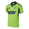 AEW Fulham 25/26 Adult Away Shirt 