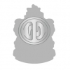2001 Nostalgia Pin Badge