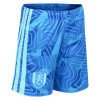 Fulham 26/27 Youth Home GK Short