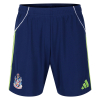 Fulham 25/26 Adult Away Shorts