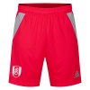 Fulham 25/26 Adult Home GK Shorts