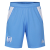 Fulham 25/26 Adult Away GK Shorts