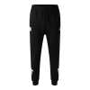 Mens Future Icon 3-Stripe Pant