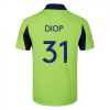 Fulham 25/26 Adult Away Shirt