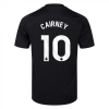 Fulham 25/26 Adult Third Shirt