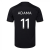 Fulham 25/26 Adult Third Shirt