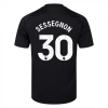 Fulham 25/26 Adult Third Shirt