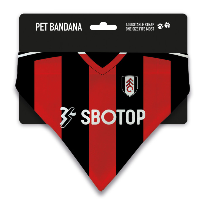 24/25 Away Shirt Pet Bandana